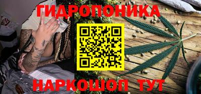 ешки Кингисепп