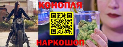 ешки Кингисепп