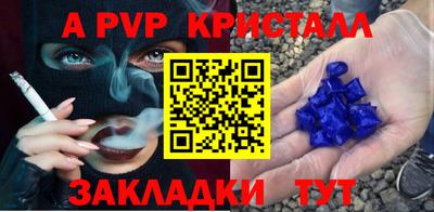 ешки Кингисепп