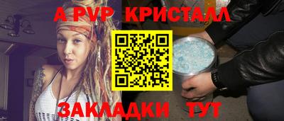 ешки Кингисепп