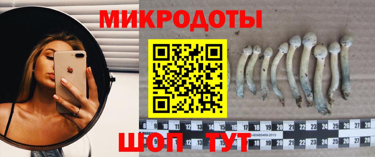 Псилоцибиновые грибы GOLDEN TEACHER Хасавюрт