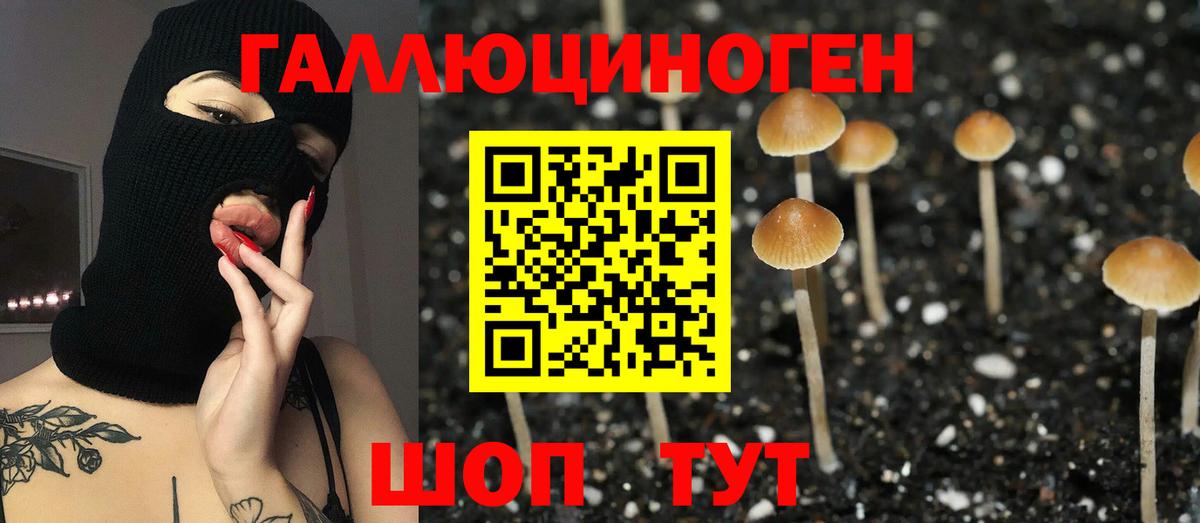 Псилоцибиновые грибы прущие грибы  Галлюциногенные грибы Magic Shrooms  Вход с VPN  наркота  Хасавюрт 